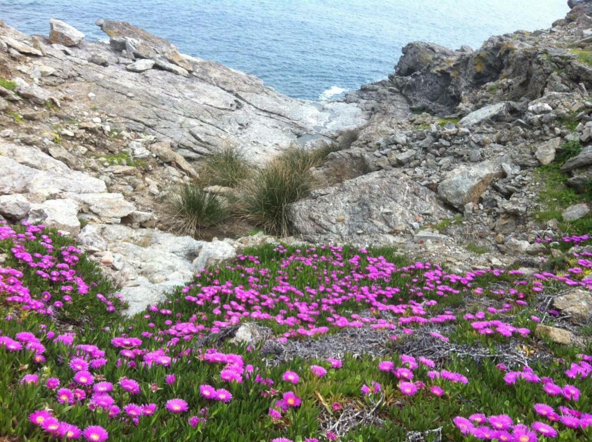 Isola D'Elba Come In Barca, A Un Tuffo Dal Mare กาโปลิเวรี ภายนอก รูปภาพ